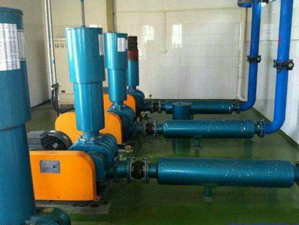 氣力輸送羅茨鼓風機案例 氣力輸送羅茨鼓風機案例